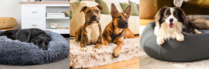How Can a Protective Cover Help Your Dog's Bed Last Much Longer? 